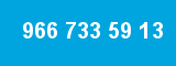 966 733 59 13